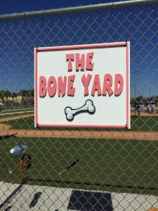 The Bone Yard